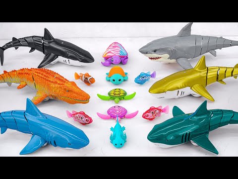 [Toy asmr] Crocodile & RC Shark & Baby Shark &Zuru Robo Alive Aquarium ASMR Satisfying with Unboxing