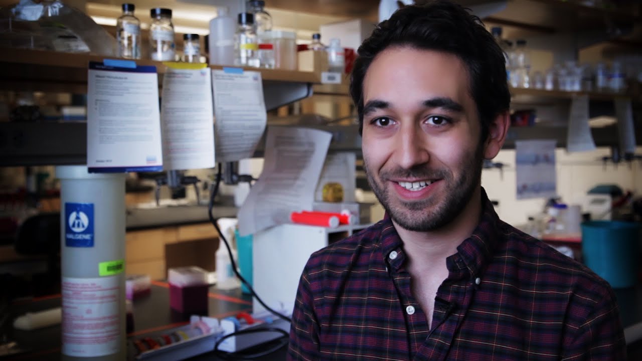 The Lawrence Minute - Collaborative Research