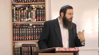 הקדמה – בדיקות בשעת טהרה