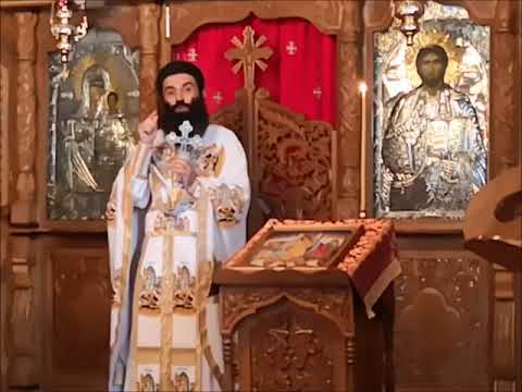 20180729 NICOLAE BALASOIU - DUMINICA A 9 A DUPA RUSALII – UMBLAREA PE MARE - POTOLIREA FURTUNII