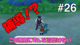 【ポケモンソードシールド #26】夜でもポケモンを捕まえるため出歩きます【ゲーム実況】
