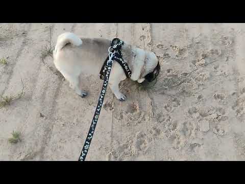 Caminhando na 2a etapa.