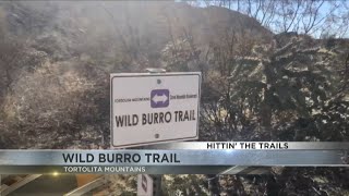 Hittin' the trails 4 You - Wild Burro Trail