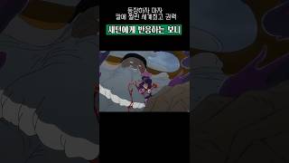 칼에 찔린 규키 인수형 새턴 근황🔥#원피스