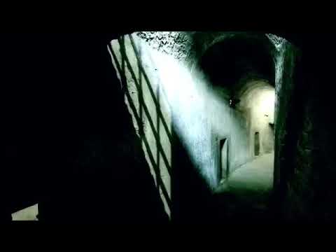 L'ultimo discorso di Giordano Bruno prima di essere giustiziato 🙌🦅🔥