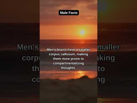 Quick Facts Burst: Facts in Just 6 Seconds!