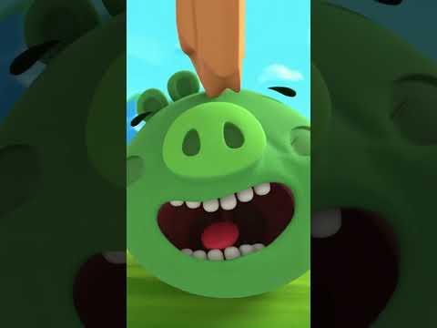 The Ultimate Balance Test!