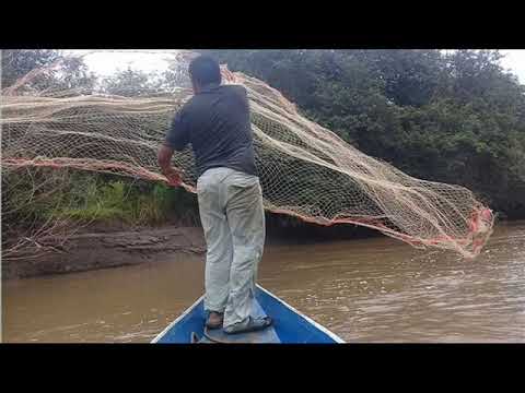HERNAN GONZALEZ ELCARICARI  ENTRADAS DE AGUA EN MI LLANO