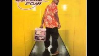 Large Professor - In the Sun (Ft. Q-Tip)