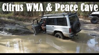 Ford Ranger & Isuzu Trooper Off-roading Citrus WMA & Exploring Peace Cave (Part 2)