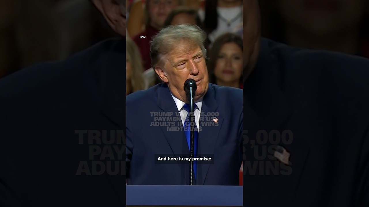 Trump pledges $5,000 payments to US adults if Republicans win midterms, funding unspecified