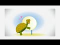 ZOOMIX Gala The Tortoise