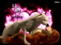 Wolf love :) 