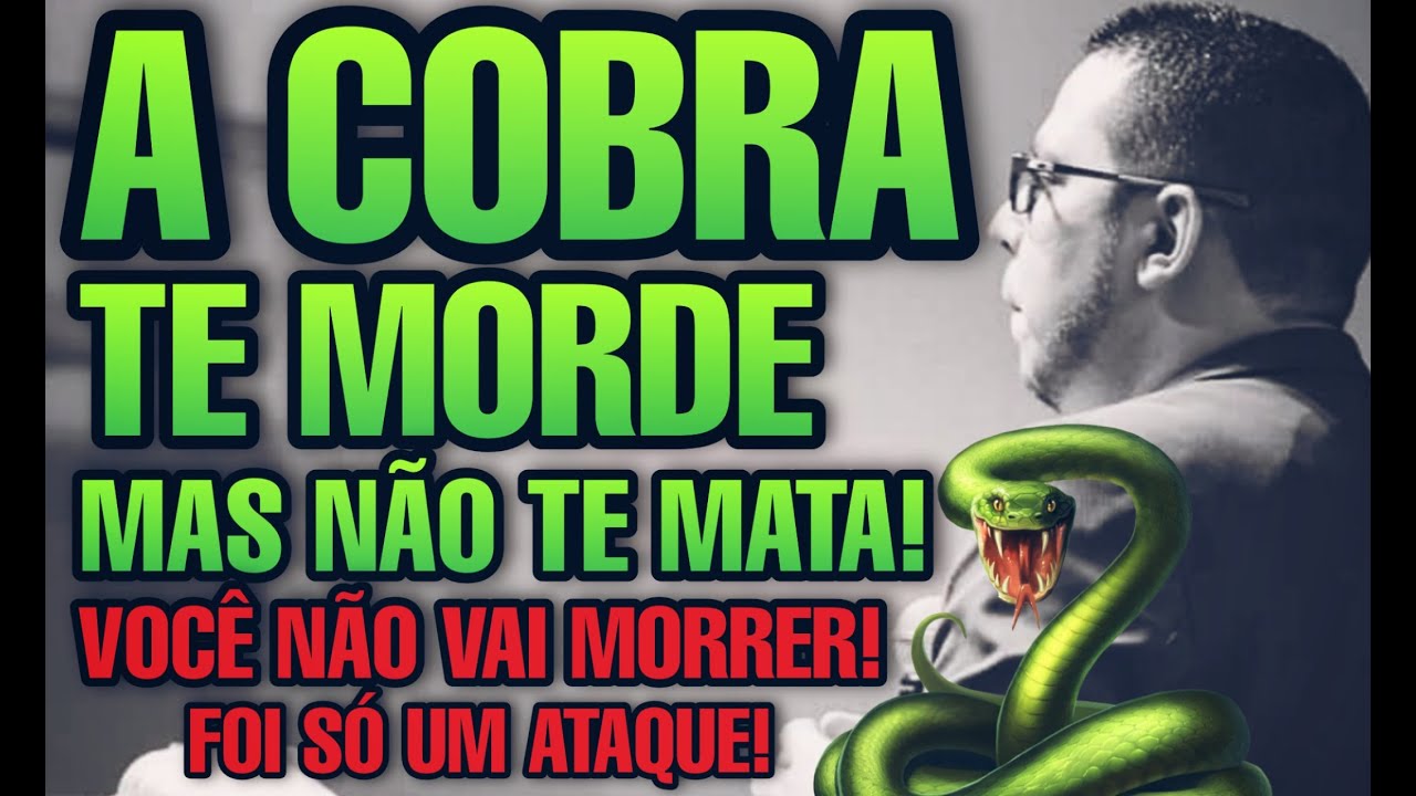 A COBRA TE MORDE MAS NÃO TE MATA!