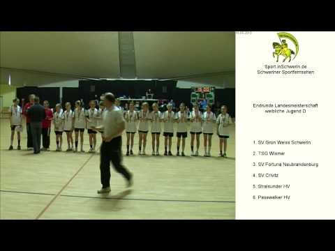 Handball Spielunion wJD Endrunde Landesmeisterschaft 16. Mai 2010