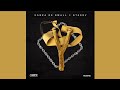 Kabza De Small & Stakev - MOTHO rekere feat. Da Muziqal Chef  (Official Audio)