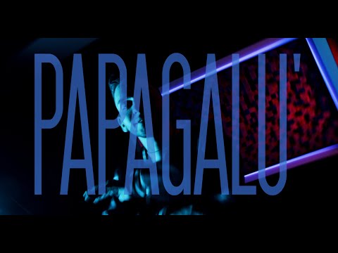 ACLI - Papagalu' 🦜 (Official Video)
