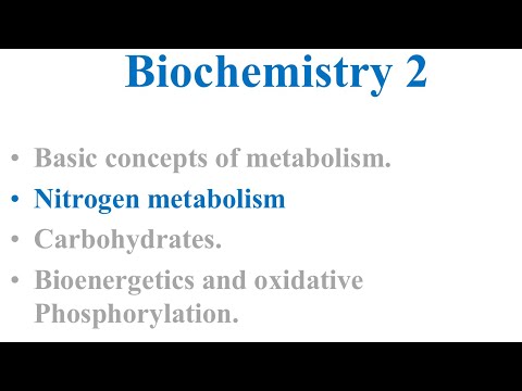 Nitrogen Metabolism Biochemistry II