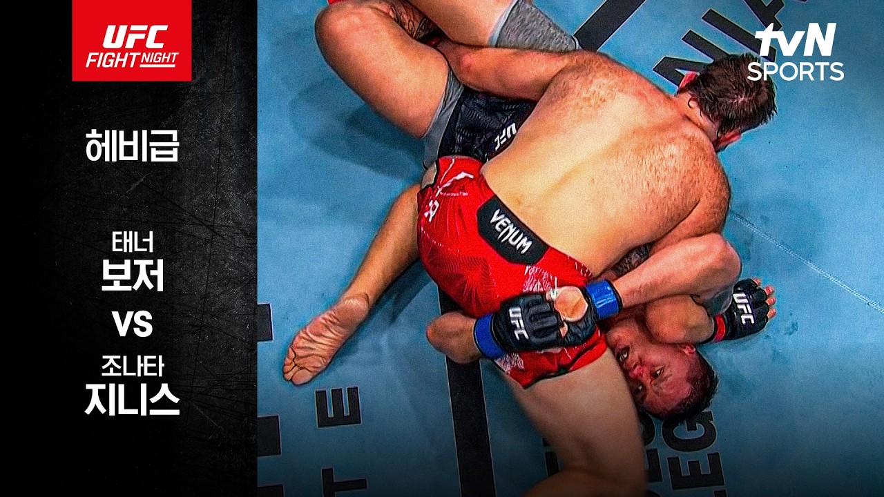 [UFC] 태너 보저 vs 조나타 지니스