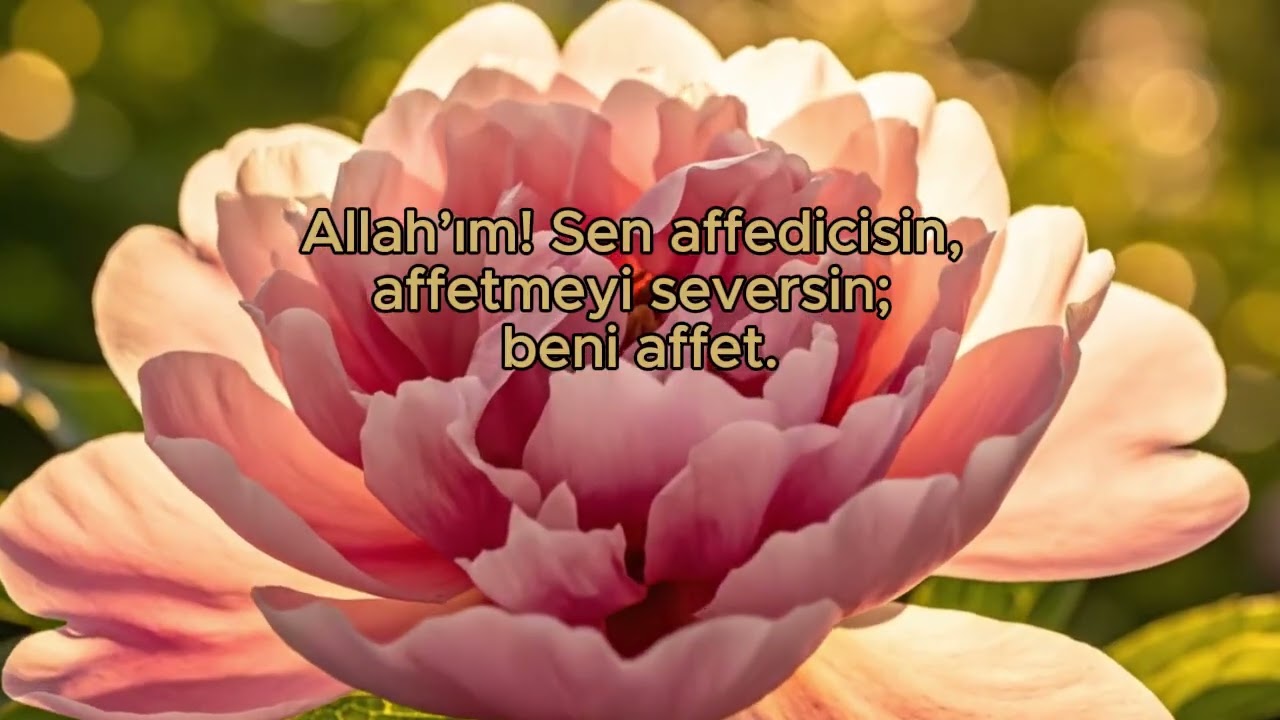 Ömre Bedel Fırsat: 83 Yıllık Sevap | Bin Aydan Daha Hayırlı Gece