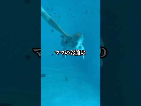 魅惑の魚用不凍液