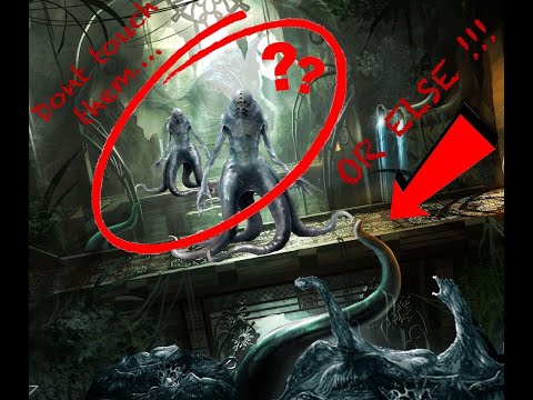 Streamlining SKT: Kraken's Gamble