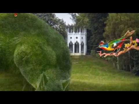 GOOD MORNING VIDEO WHATSAPP STATUS