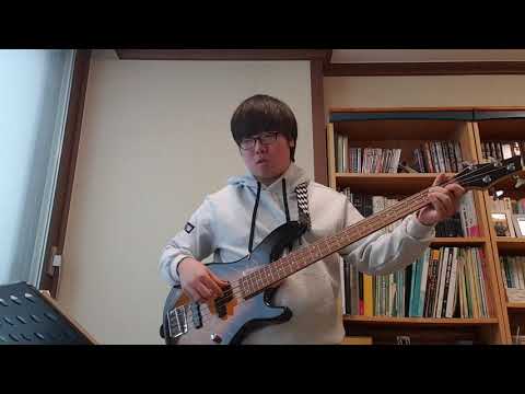 돌마로DOLMARO-잔나비(bass cover베이스커버