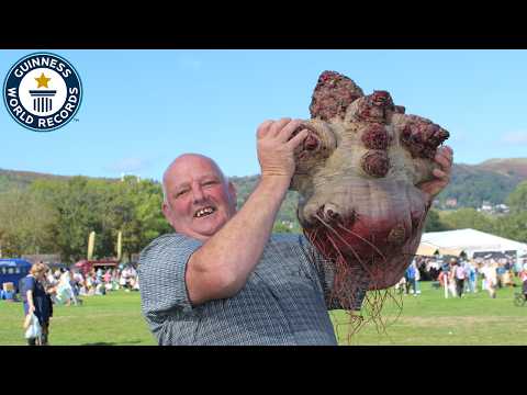 Breaking Records at the Big Veg Festival