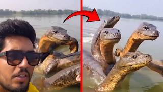 Terrifying Moment Kayaker Is Chased by Massive Creatures!