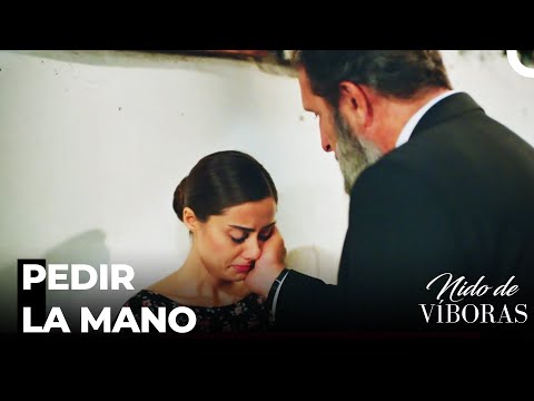 Serás Tu La Mujer De Mi Casa - Nido De Víboras