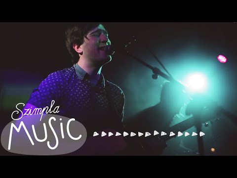 Hét év Lemmingjei @szimplakert