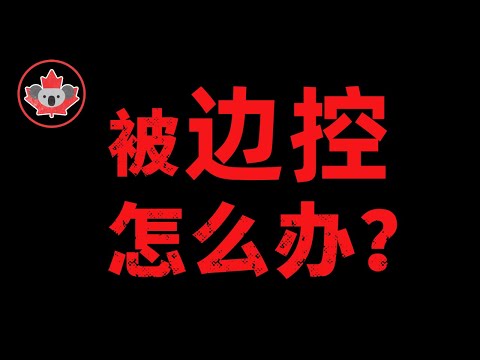 边控生存守则：&ldquo;敏感人士&rdquo;如何规划移民？被&ldquo;盯上&rdquo;了怎么办？边控有救吗？希望这个视频，能照亮世界的黑暗。