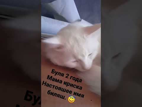 вот такие дела