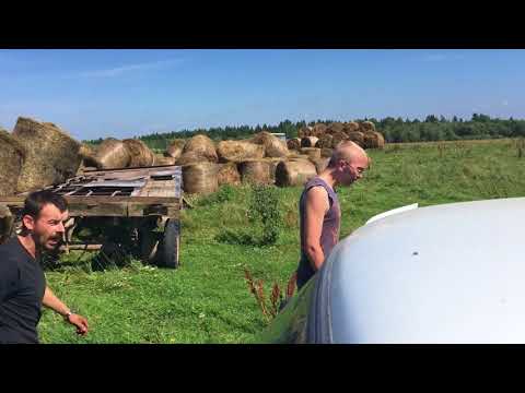кража сена с чужих полей
