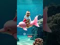 Cute Baby Moment 2 Funny Baby Videos Shorts Cute Babylaughing Funnybabyvideos