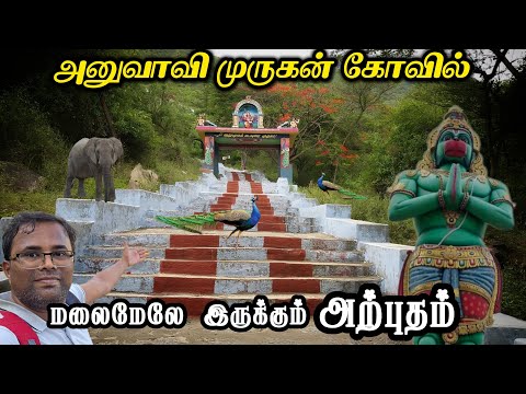🦚 Anuvavi Subramaniar Temple Journey | 🛕Spiritual Journey to Anuvavi Subramaniar Temple, Coimbatore