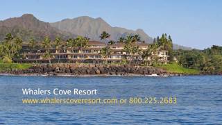 preview picture of video 'Oceanfront Poipu Beach Condo Rentals at Whalers Cove Resort'