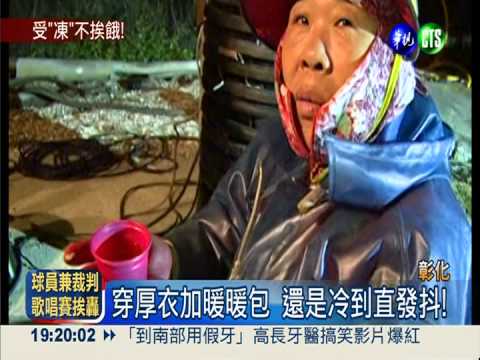 穿厚衣加暖暖包 忍14℃採收蛤蠣