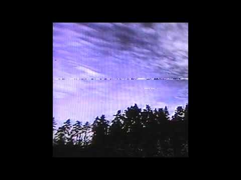 84. biocide - husk [29.11.2019]