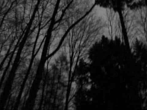 Aaskereia - Im Schattenlicht, zwischen den Welten