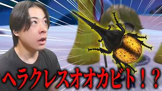 ついに伝説の虫をゲットした！！！…＃27【あつまれ どうぶつの森】