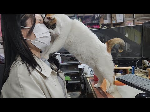 보물이의 과격한 애정표현