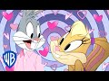 Looney Tunes Best Of Lola And Bugsy WB Kids