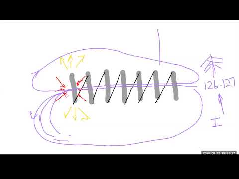 2020 08 22 PM Public Teaching in Bengali - বাংলায় পাবলিক শিক্ষা