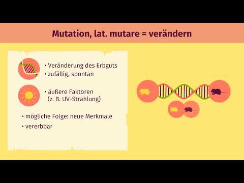 Mutation und Selektion – Anwendung einfach erklärt | sofatutor