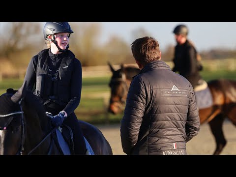 Springpferd Chapeau zurück im Stall Ramsbrock u. neue Reiterin für den kleinen Fuchs Campino