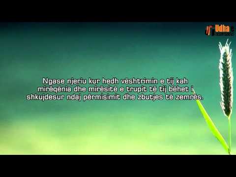 SPROVA E DYNJASË Shejh Ibën Uthejmini