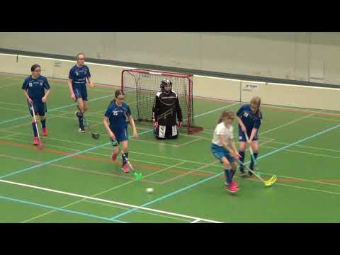 Nibacos valk - Blue Fox valk Anssin Jussin Arena