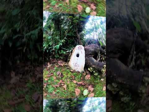 Buscando el Observatorio Astronómico Muisca en Gachancipá | El Misterioso Calendario Muisca